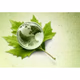 Radio Digital de Educación Ambiental Logo