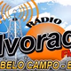 Rádio Alvorada FM Logo