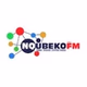 Nqubeko FM logo