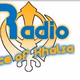 Radio Voice Of Khalsa Logo