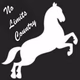 No Limits Country Logo