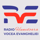 Radio Vocea Evangheliei Hunedoara Logo