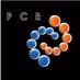 PCR logo