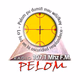 Radio Pelom FM Logo
