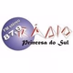 FM Princesa Do Sul Logo