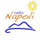 Radio Napoli Logo
