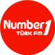 Number1 FM - Number1 Türk Damar Logo