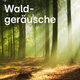 104.6 RTL - Waldgeräusche Logo