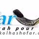Radio Showfar Logo