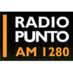 Radio Punto AM 1400 Logo