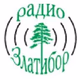 Радио Златибор Logo