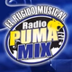 Radio Puma Mix Logo