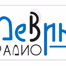 Radio Devin 103.6 FM Logo