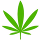 donior420 Logo