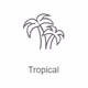 Radio Record - Tropical Logo