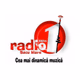 Radio Unu Satu Mare Logo
