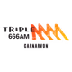 Triple M Carnarvon - 6LN Logo