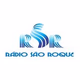 Rádio São Roque Logo