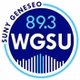 89.3 WGSU  Geneseo's Voice of the Valley logo