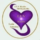 5D Radioflix - LUV Radio Latin America logo