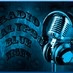 Radio Calypso Blue Night 2 Logo