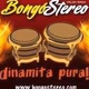 Bongó Stereo Logo
