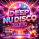 HearMe.fm - Deep Nu Disco logo