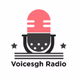 Voicesgh Radio Logo