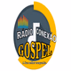 Radio Web Conexão Gospel Logo