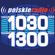 Polskie Radio 1030 Chicago - WNVR logo