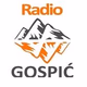Radio Gospić Logo