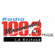 Monumental FM Logo