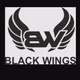 Radio Black Wings Logo