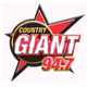 94.7 The Country Giant - WGSQ Logo