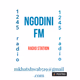 Ngodini fm Logo
