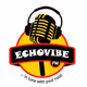 EchoVibeFM Logo