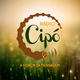 Radio Cipo Logo