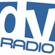 Deepvibes radio Logo