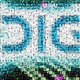 Radio Digit One Logo