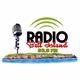Radio Bell Island 93.9 - CJBI-FM Logo