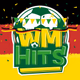 wm2014 Logo