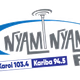 Nyami Nyami FM Logo