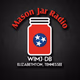 WIMJ-DB Mason Jar Radio Logo
