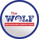 The WOLF - Braunschweigerland logo