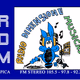 Radio Dimensione Musica Logo