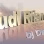 Radio Ludi Ritam Net Logo