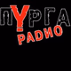 Радио Пурга Logo