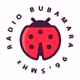 Радио Бубамара Сврљиг logo