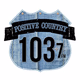Positive Country 103.7 - WCZE Logo