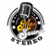 Max Sound Stereo Logo
